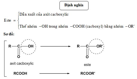 Liên Kết Este Là Gì?